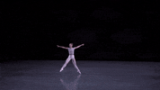 Sufjan Stevens Dance GIF by New York City Ballet