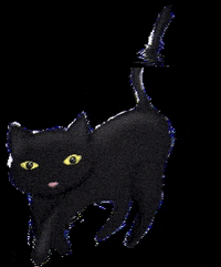 Mitsukoandco cat halloween blackcat mitsukoandco GIF