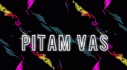 Ceca Pitam GIF