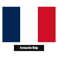 France Flag Sticker by Formación Ninja