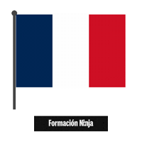 France Flag Sticker by Formación Ninja