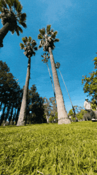 Sacramento Tfl GIF by The Float Life