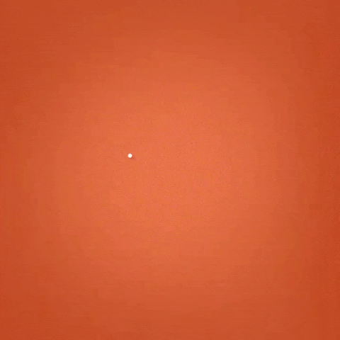 Nazuba  GIF