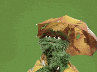 Raining Oscar The Grouch GIF by Sesame Street