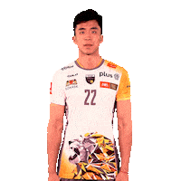 Volleyball Smile Sticker by trefl_gdansk