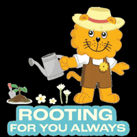 Singa Kindnesssg GIF by Singapore Kindness Movement