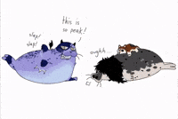 strangerat strange rat ratticus seal ryker seal seal rat GIF