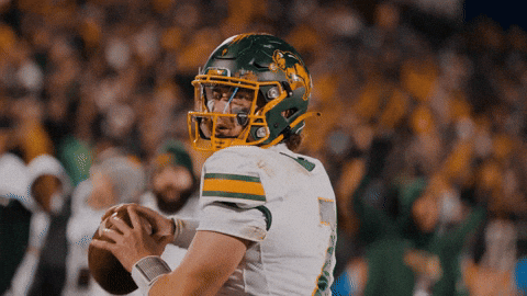 Ndsu Football GIF by NDSU Athletics
