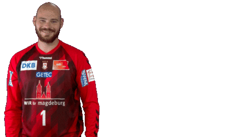 Sc Magdeburg Ball Sticker by LIQUI MOLY HBL