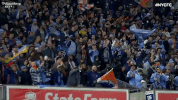 GIF by NYCFC