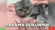 GIF by @Hizliresim