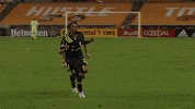 Major League Soccer Football GIF by Nashville SC
