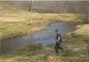 river fail GIF