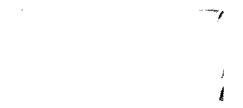 Sc Magdeburg Sport Sticker by scm.leichtathletik