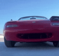 Bing Pop Ups GIF