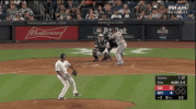 Yankees GIF by Jomboy Media