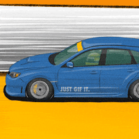 Car Racing GIF by kneapolitan