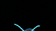 symphony for our world GIF by Nat Geo Wild 
