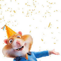 Confetti Celebrate Sticker by Albert Heijn