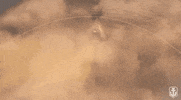 WorldofWarships smoke wows worldofwarships warships GIF