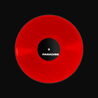 Vinyl Spinning GIF