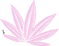 Plants Nm Sticker by Sinners Vice Lashes