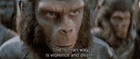 planet of the apes film GIF