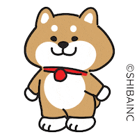 Fun Love Sticker by SHIBAINC