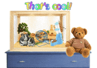 Expressions Compliments GIF