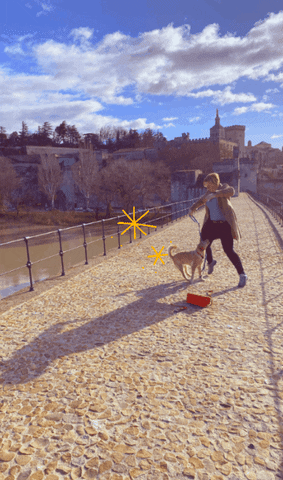 andreasix giphygifmaker giphygifmakermobile GIF