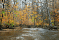 river GIF