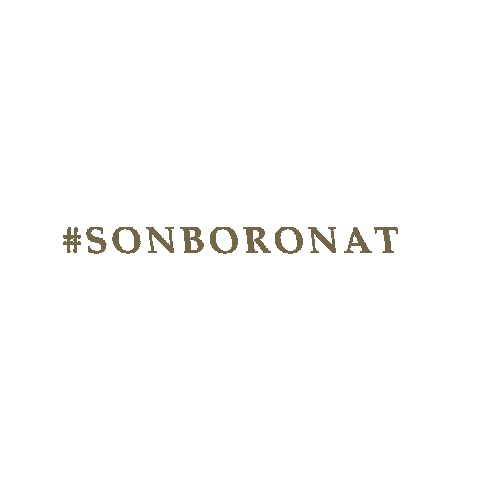 sonboronat giphygifmaker hotel mallorca majorca Sticker