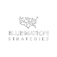 bluenation blue nation blue nation strategies Sticker