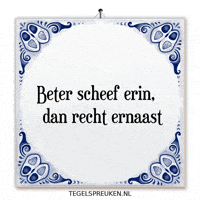 Humor Nl GIF by Tegelspreuken.nl