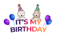 Pancakeandwaffles dog collar dog birthday birthday dog happy birthday dog Sticker