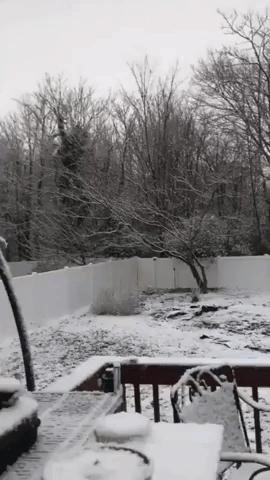 First Snow of Season Whitens Richmond, Virginia