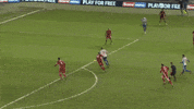 Soccer Futbol GIF by Brighton & Hove Albion Football Club