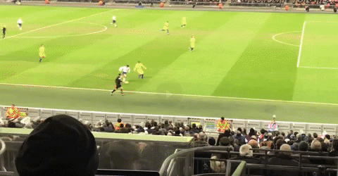 skagk giphyupload GIF