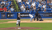 Blue Jays Mlb GIF by Toronto Blue Jays