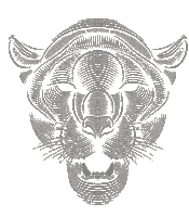 ProwinLabs fire pantera acelera queima Sticker