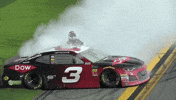 celebrate daytona 500 GIF by NASCAR