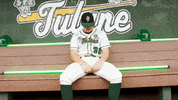 College Baseball Brian GIF by GreenWave