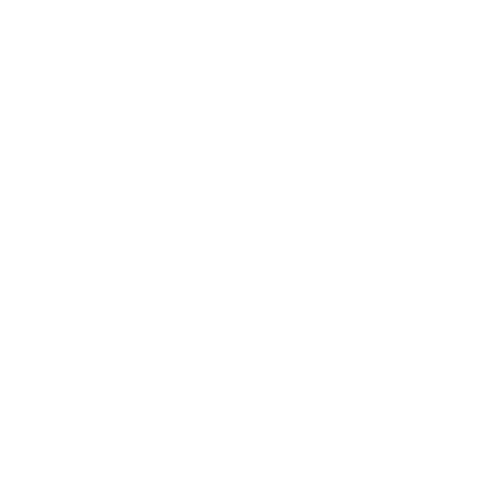 desnudatequila giphygifmaker web spiderweb cobweb Sticker