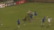 GIF by WarriorLax