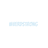 Headstrong Sticker by Financibull
