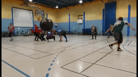 marc-edouardlarose giphyupload sport kin-ball kinball GIF