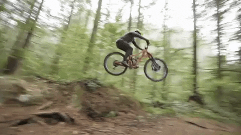 jeffreyjosephkendallweed giphygifmaker GIF