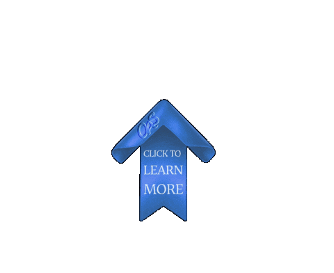 Oas Learn More Sticker by Online Art School