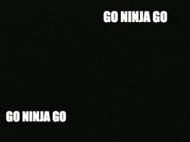 ninja GIF