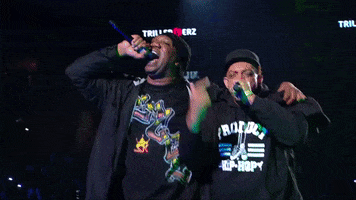 Big Daddy Kane GIF by VERZUZ